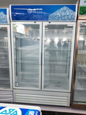 Display Cabinet Double Door Fresh Keeping Cabinet