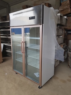 220V Double Door Fridge Freezer Commercial 1.2m Double Temperature