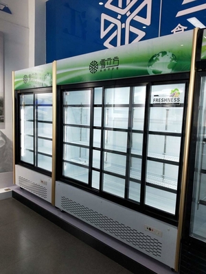 Commercial Soda Upright Glass Door Freezer Pepsi Cola