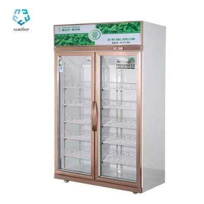 Air Cooling Upright Glass Door Chiller Double Door 1260L
