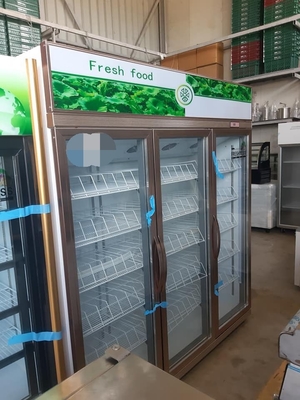 1860L Upright Glass Door Display Freezer 110V To 240V 3 Door