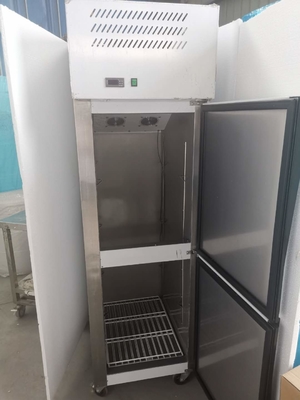 Stainless Steel Vertical Small Size Large Capacity Refrigerator Freezer Commercial Home Refrigeration Facilities