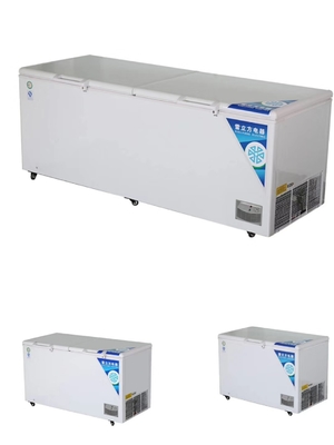 Horizontal Direct Cooling Refrigerator Commercial Household Dual Purpose Small Volume