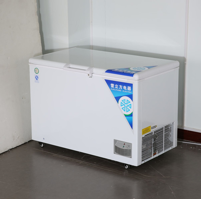 Horizontal Direct Cooling Refrigerator Commercial Household Dual Purpose Small Volume