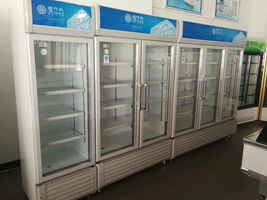 Blue Direct Cooled Beverage Display Cabinet Double Door Fresh Keeping Cabinet