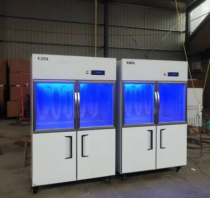 Double Glass Doors Stainless Steel Freezer Display Cabinet
