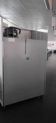 Double Glass Doors Stainless Steel Freezer Display Cabinet