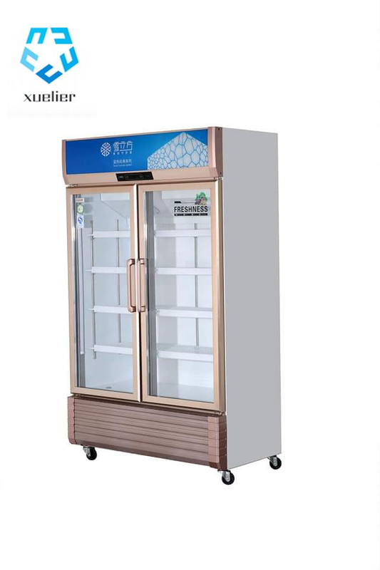 Upright 2 Door Glass Commercial Freezer Drink Fan Cooling
