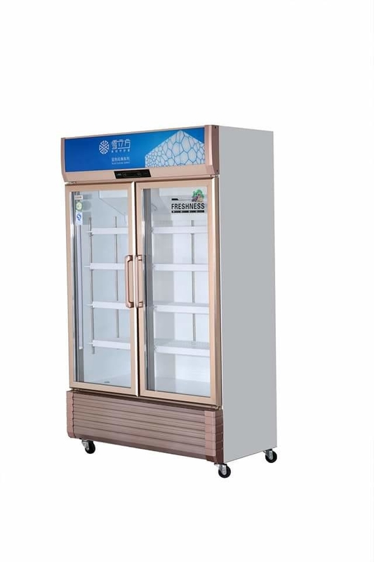 Supermarket Cold Drink Display Fridge Double Door 738L