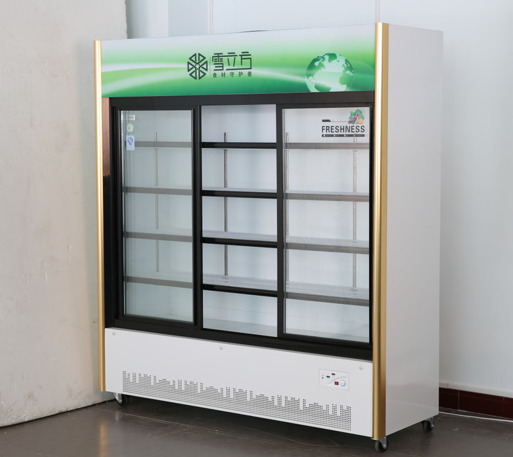 Commercial Soda Upright Glass Door Freezer Pepsi Cola
